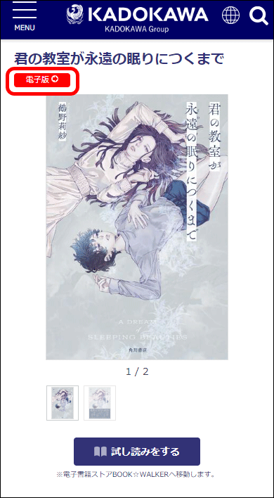 ebookSP.gif